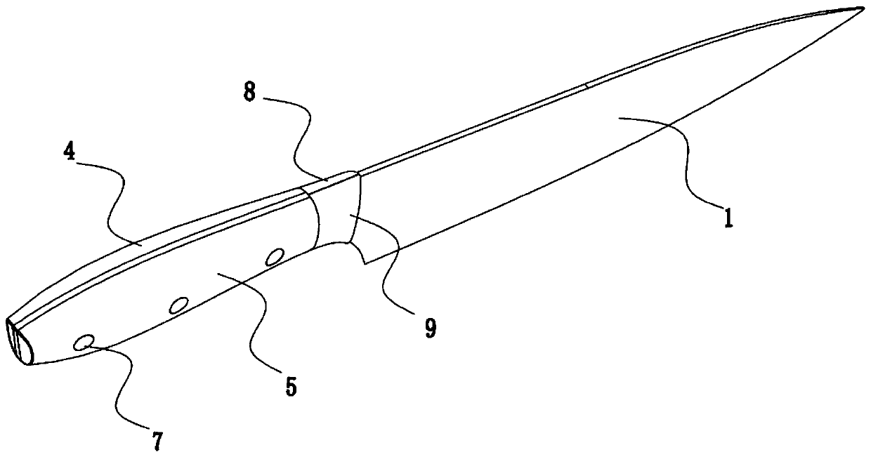 Cutter with novel structure and preparation method of cutter