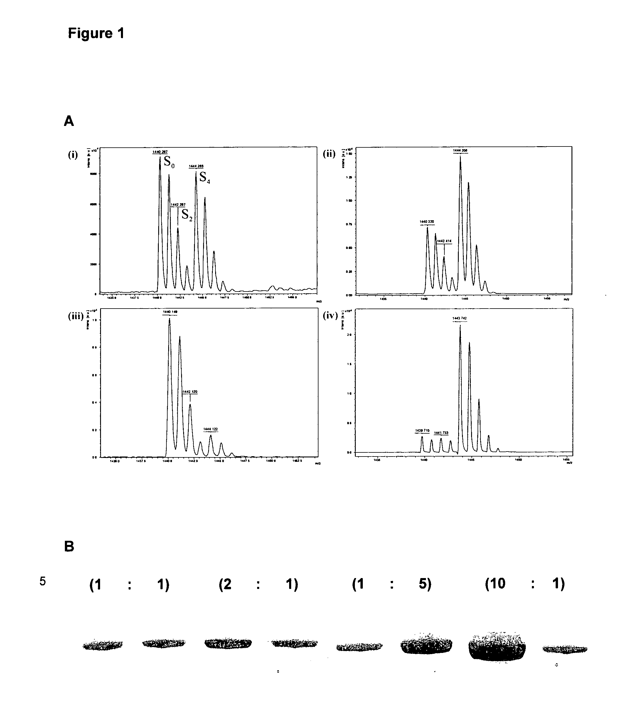 Immunology Treatment for Biofilms