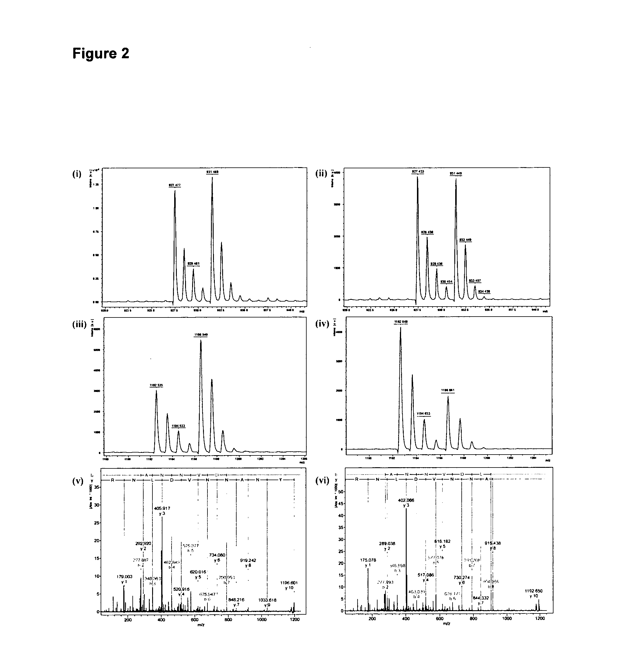 Immunology Treatment for Biofilms