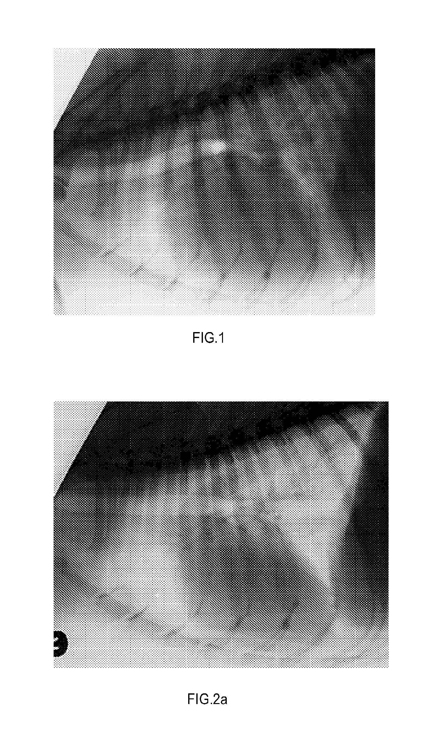 Use of PDE iii inhibitors for the reduction of heart size in mammals suffering from heart failure