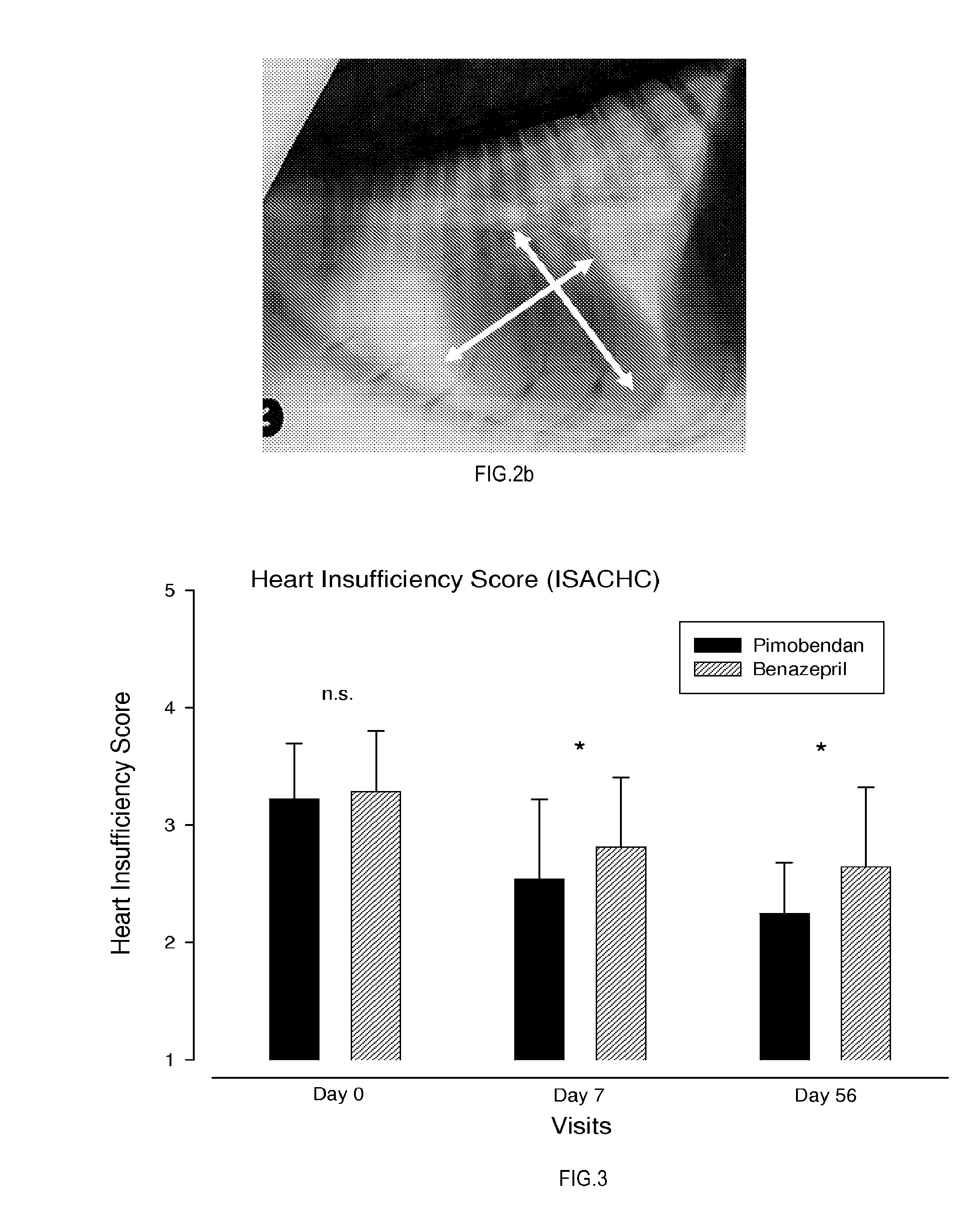 Use of PDE iii inhibitors for the reduction of heart size in mammals suffering from heart failure