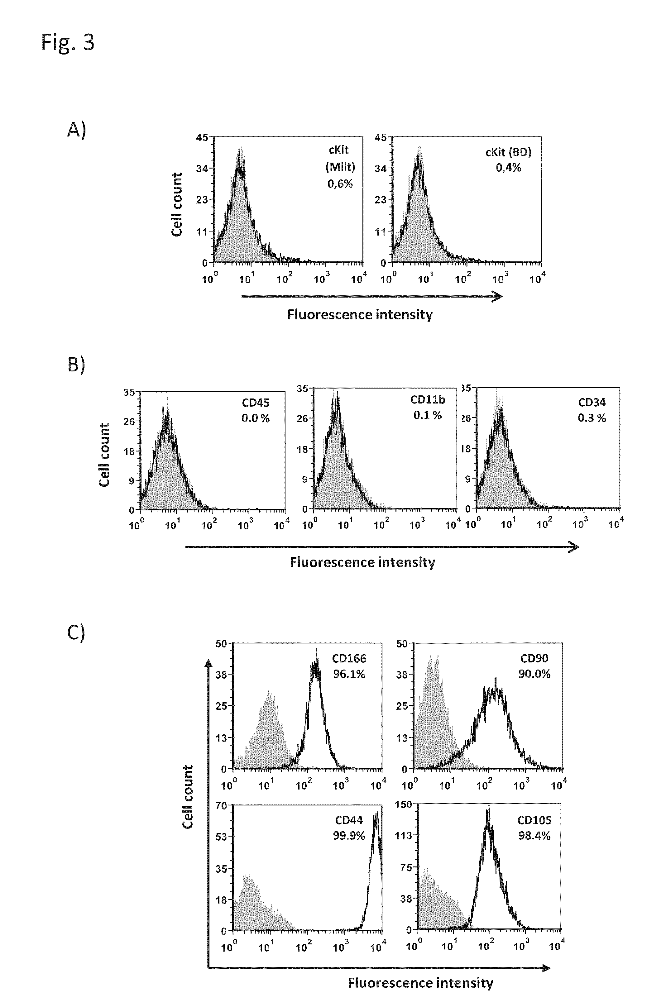 Adult cardiac stem cell population