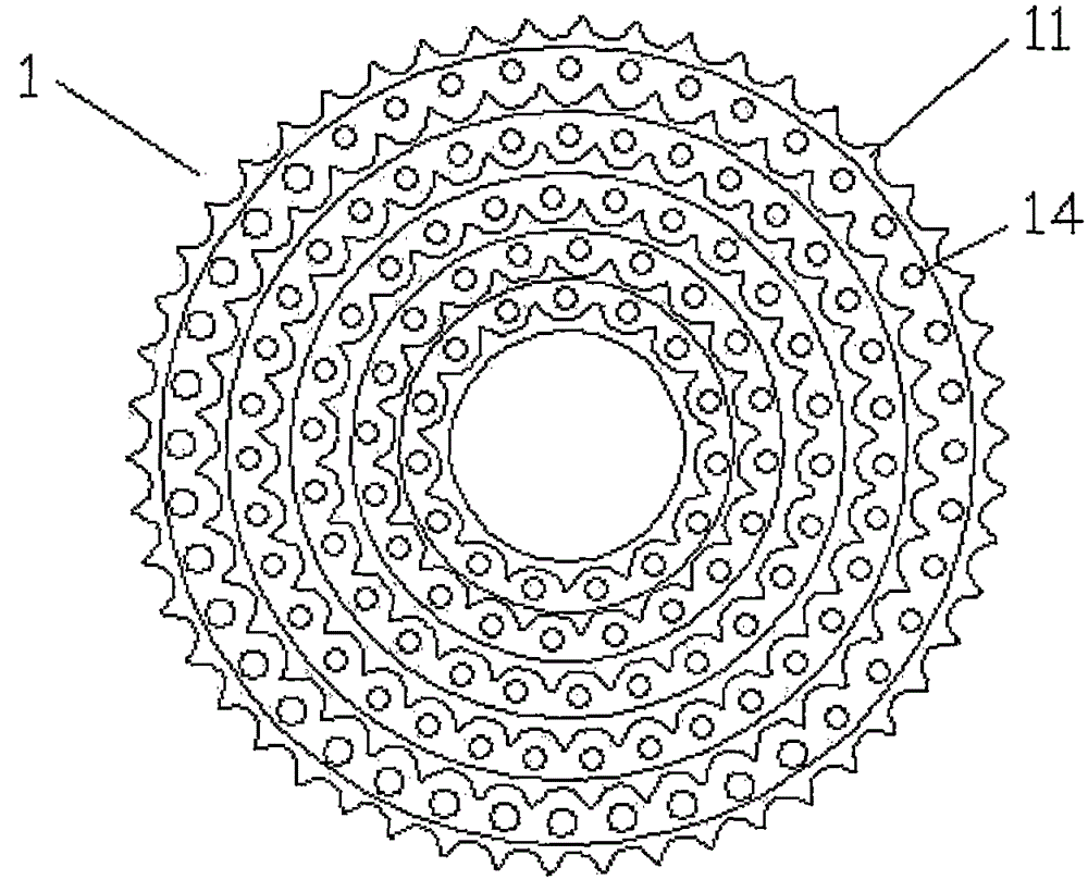 Light large-torque high-rigidity variable speed bicycle chain wheel assembly structure