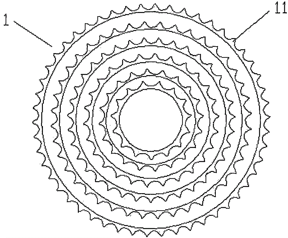 Light large-torque high-rigidity variable speed bicycle chain wheel assembly structure