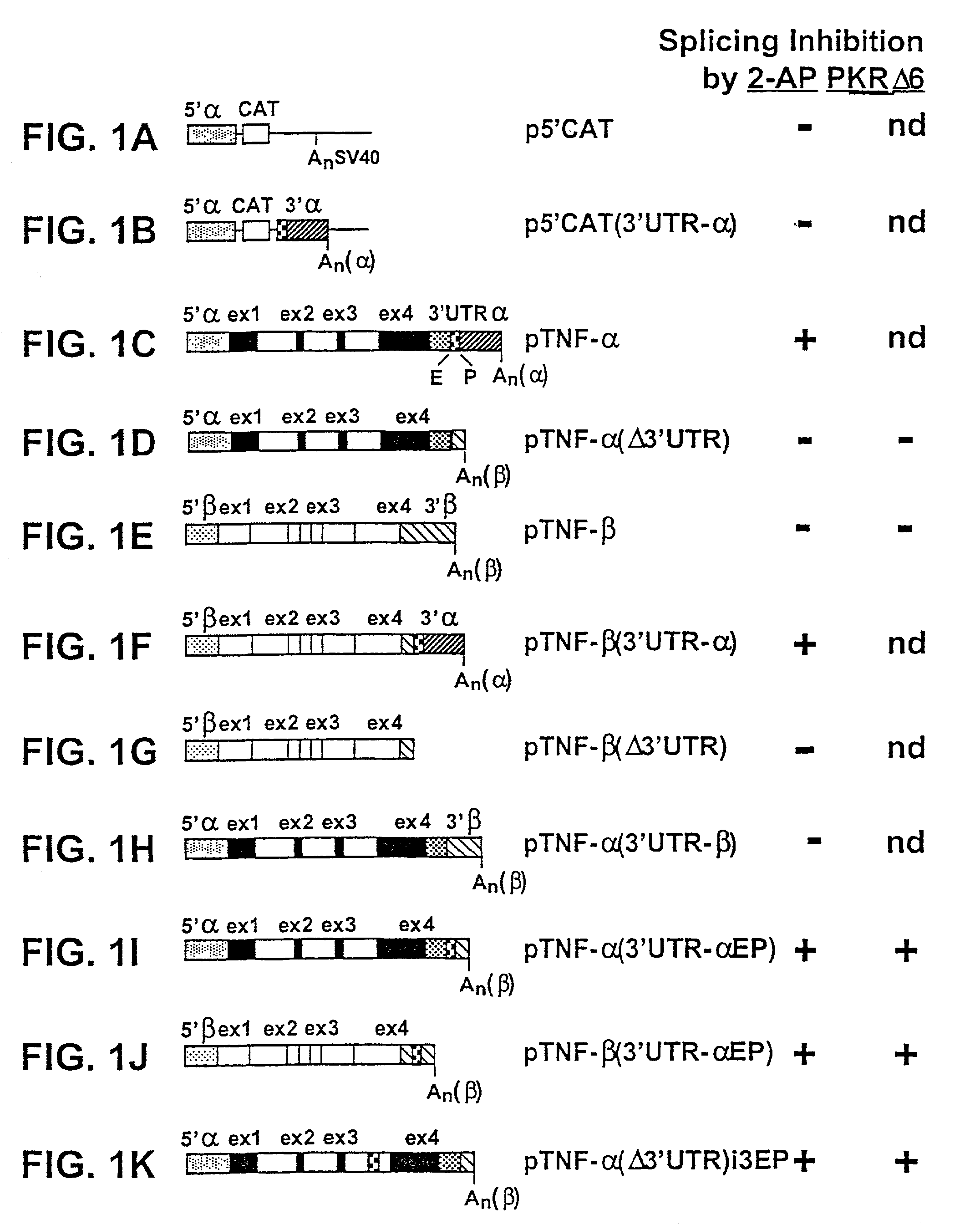 Regulation of gene expression through manipulation of mRNA splicing and its uses