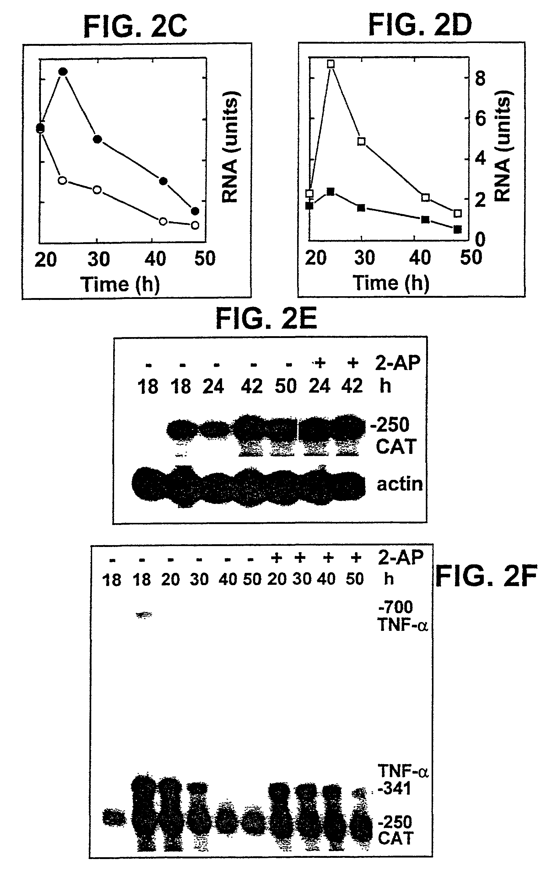 Regulation of gene expression through manipulation of mRNA splicing and its uses