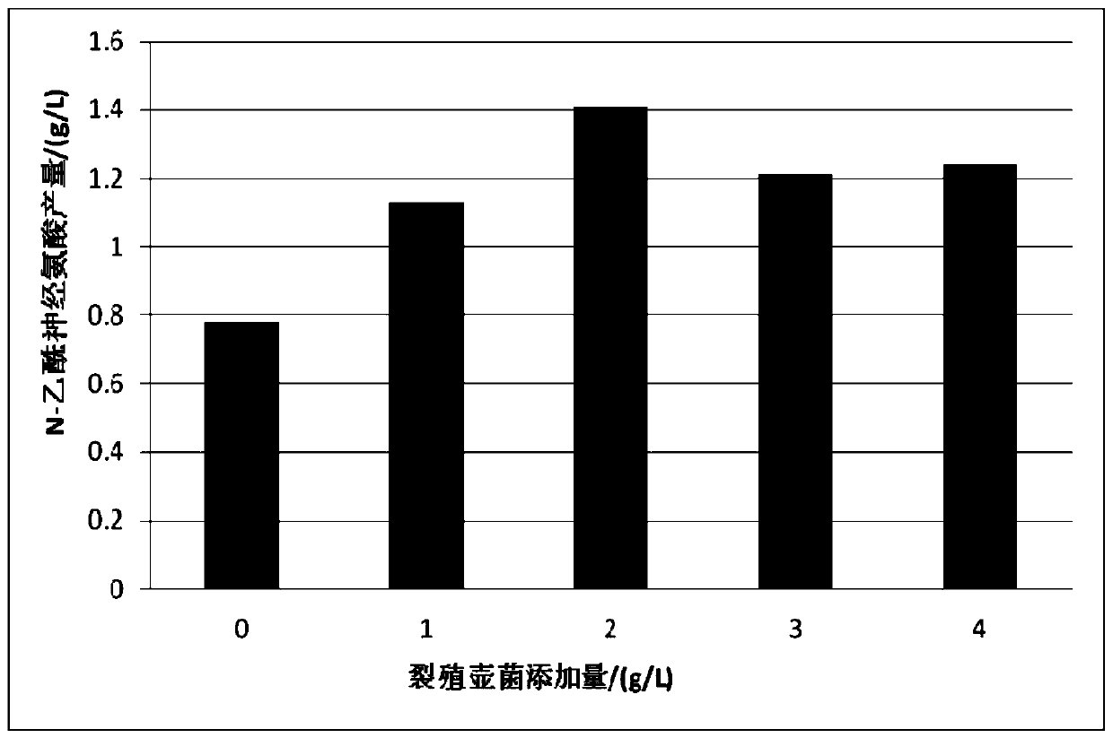 Method for promoting the production of N-acetylneuraminic acid by fermentation of Bacillus subtilis