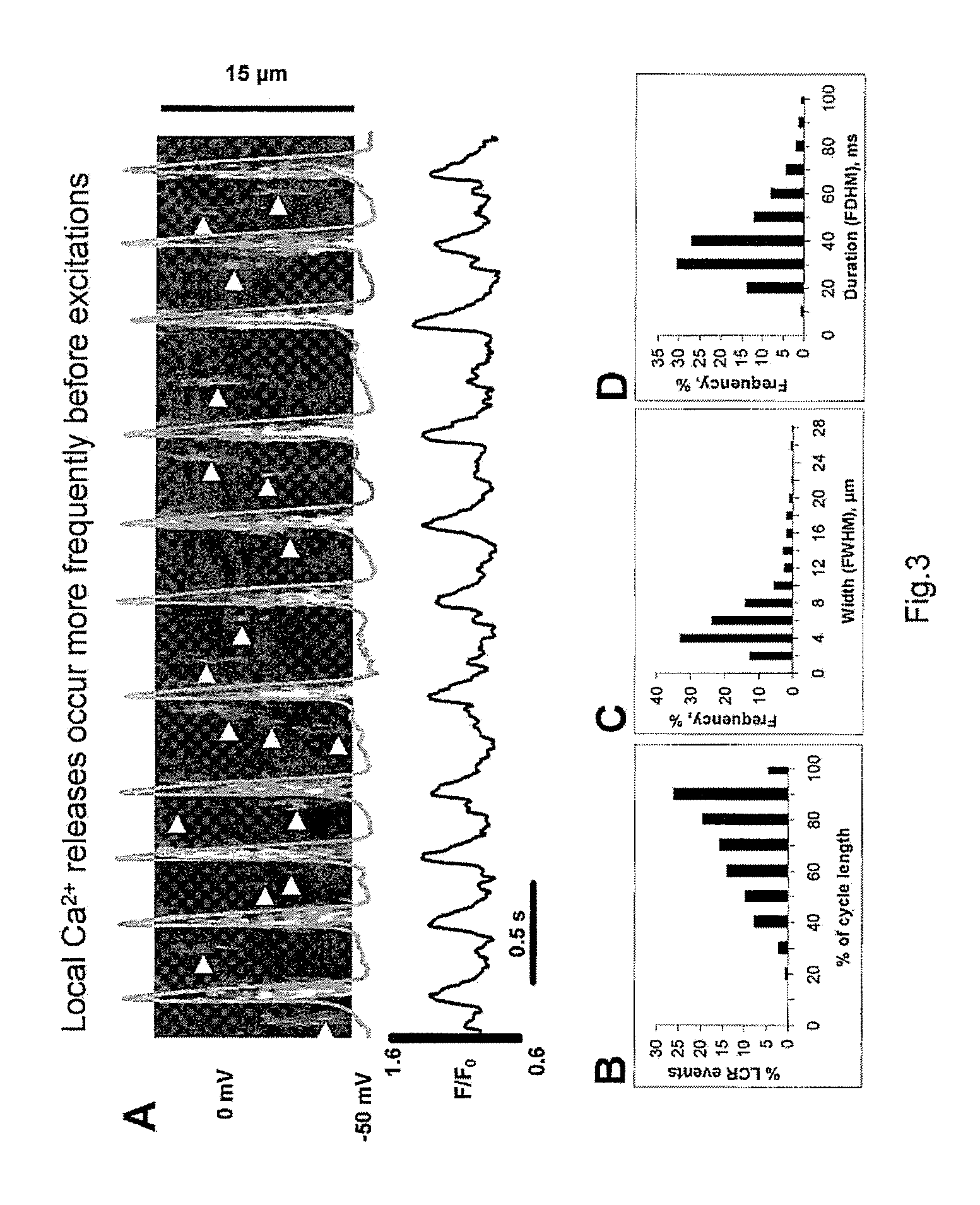 Engineered biological pacemakers