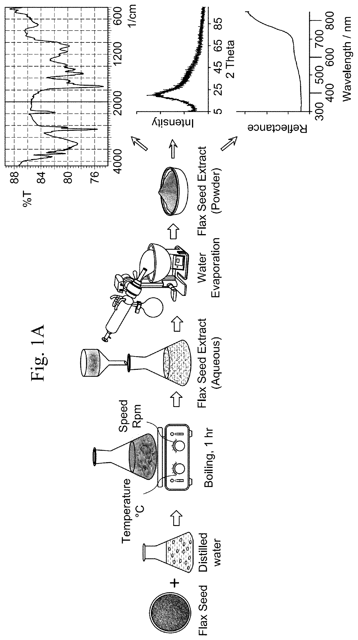 Alpha-FE2O3 nanoparticles and method of making and use thereof in photodegradation of organic pollutants, as a photocatalyst and as an antibacterial composition