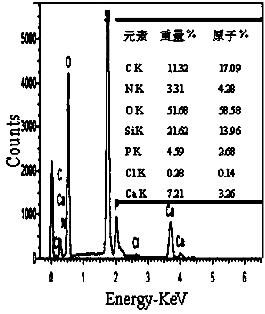 Preparation method of nano hydroxyapatite/polyhexamethylene monoguanidine hydrochloride/silica gel composite material and solid phase extraction method