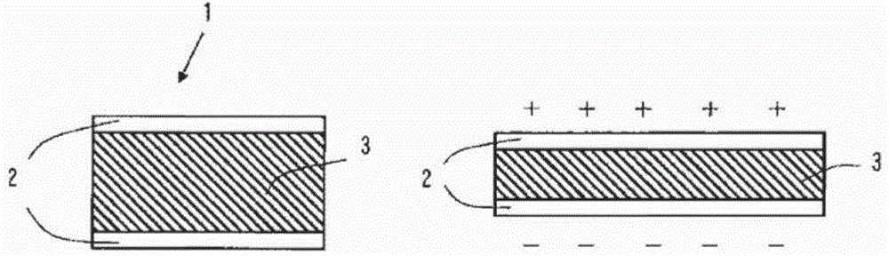 Polymer actuator