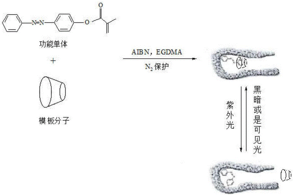 Preparation method of photo-responding molecularly imprinted material for selectively separating and purifying cyclodextrin and derivatives of cyclodextrin