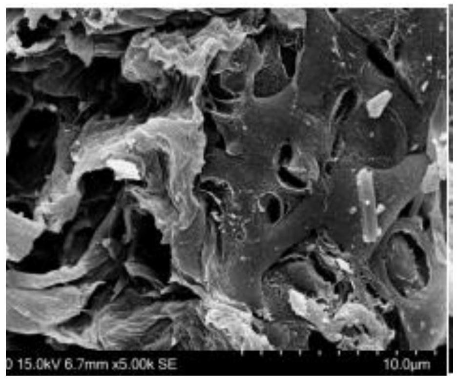 Hydrothermal deashing-self-water activation activated carbon preparation device