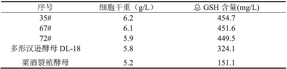 Method for preparing yeast fusants and screening glutathione high-yield strains