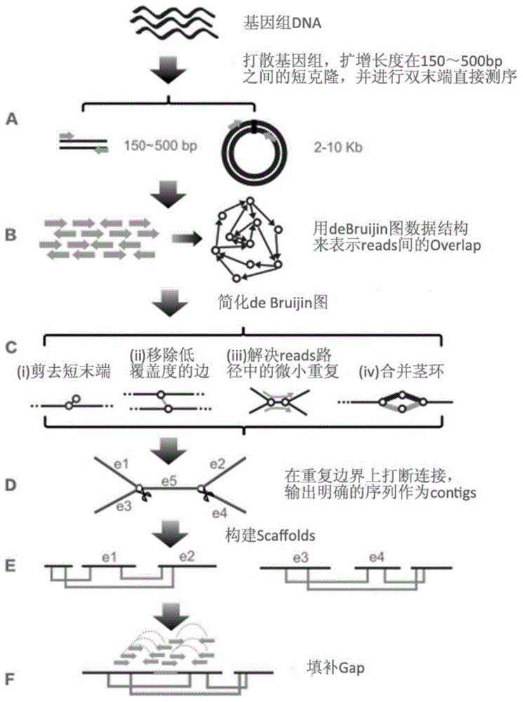 Methods and systems for assembling genome sequences