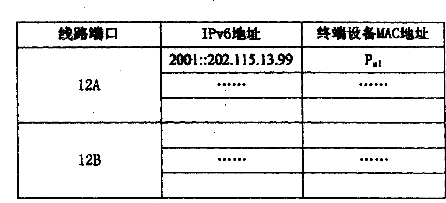 Network address reconstruction method in IPv6 switch-in network