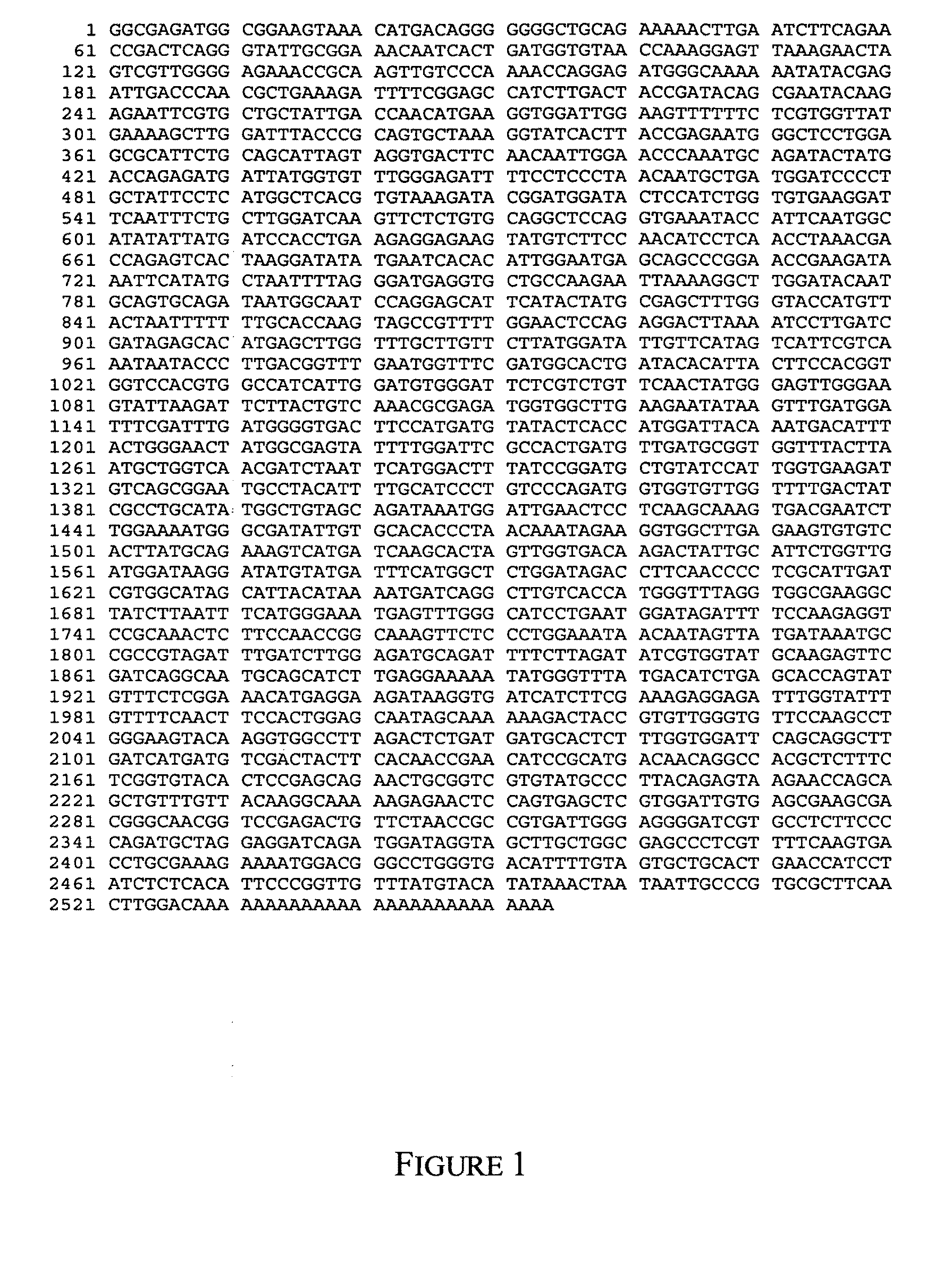 Barley with altered branching enzyme activity and starch and starch containing products with an increased amylose content