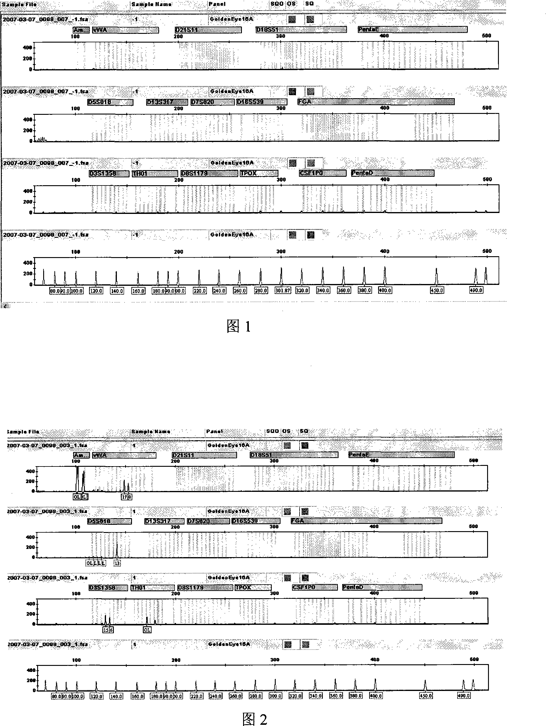 Blood DNA conserving card and method for making the same