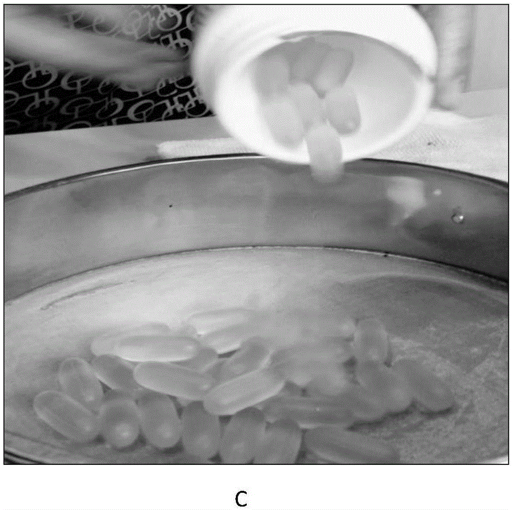 Film coating premix for soft capsules and preparation method of film coating premix