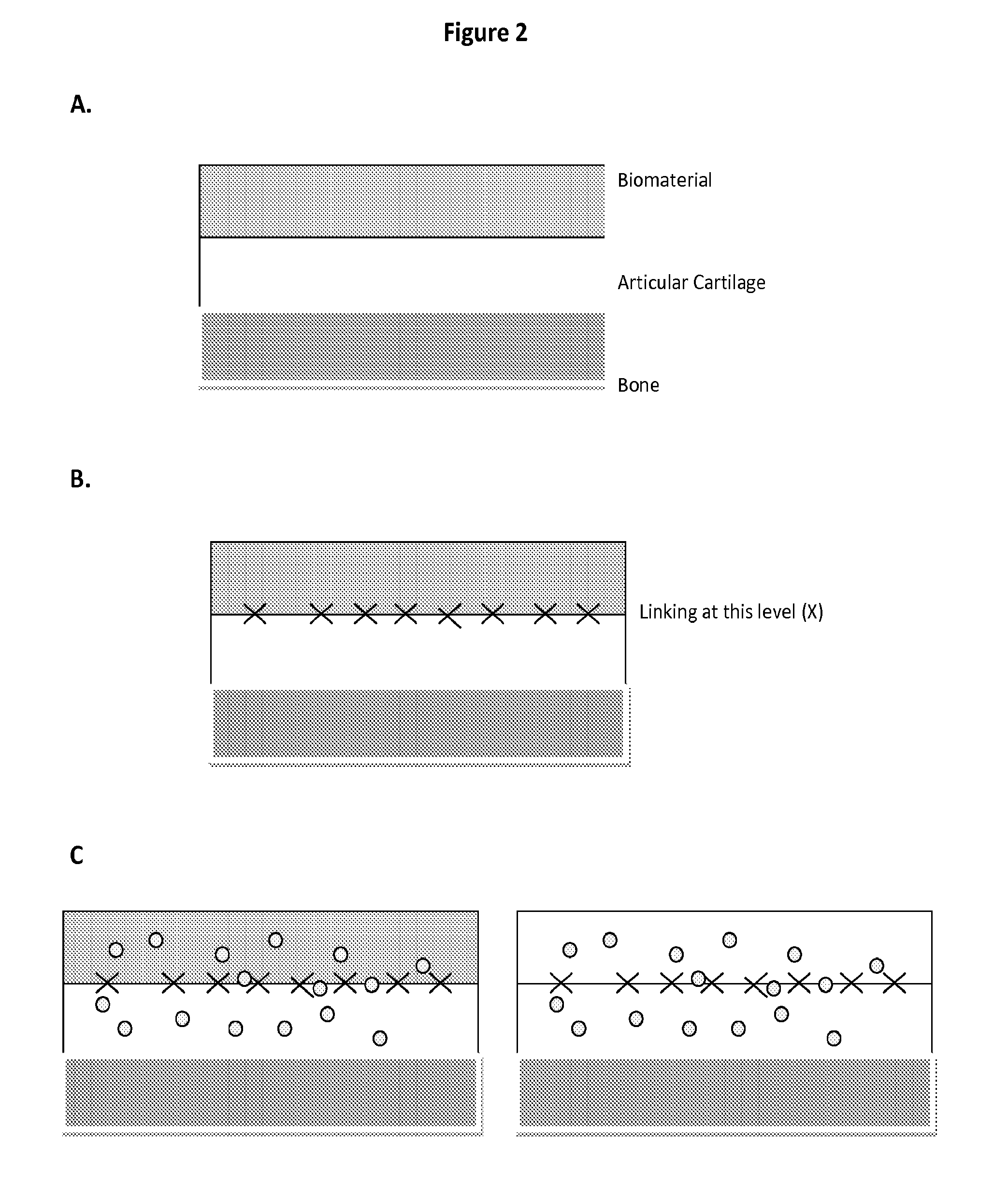 Biomaterial for articular cartilage maintenance and treatment of arthritis