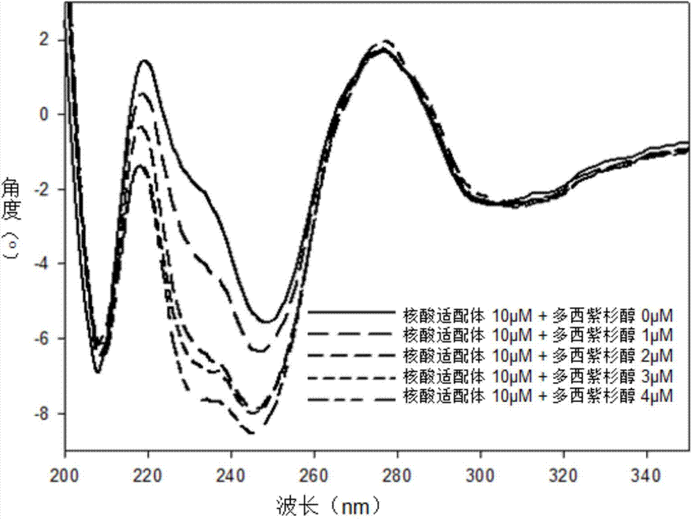 Aptamer of docetaxel, aptamer derivative and use thereof