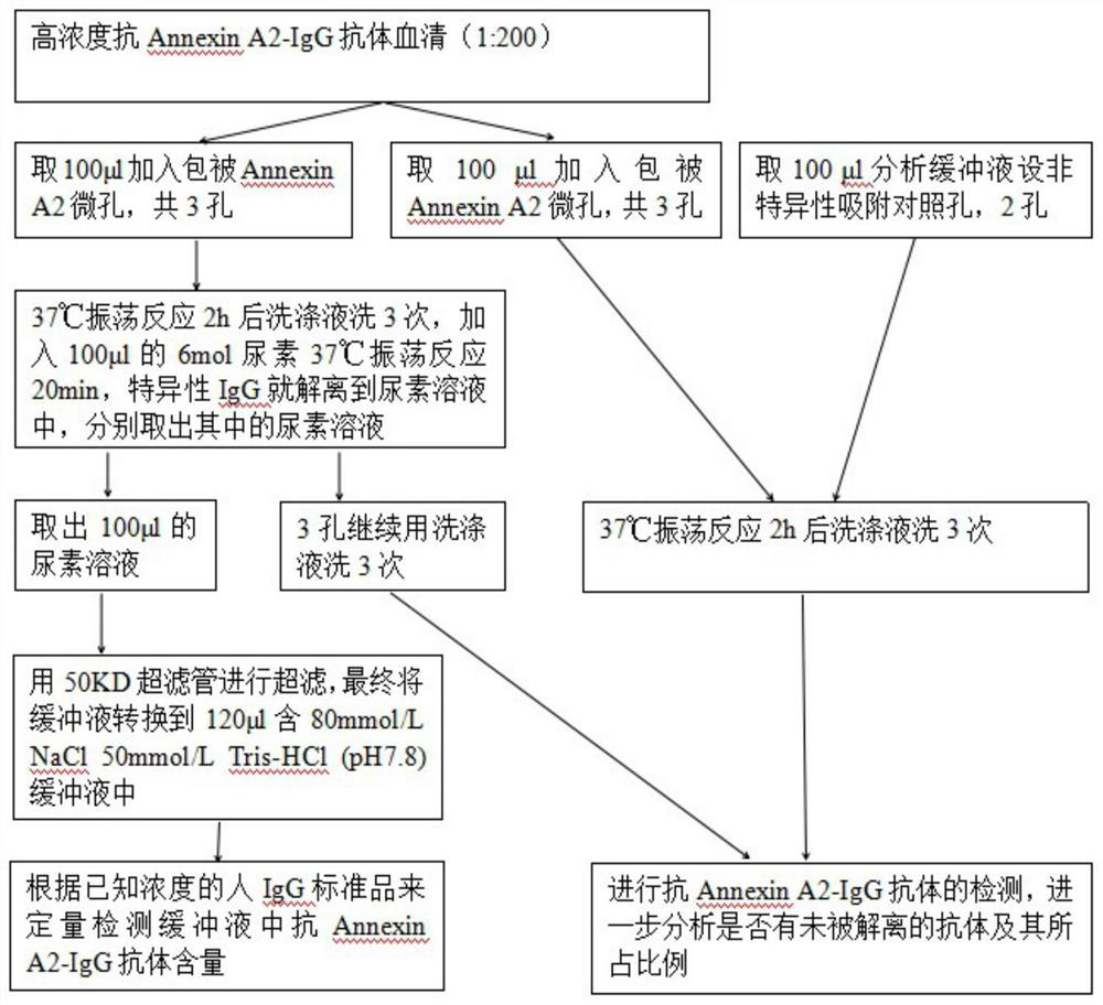A kind of detection serum anti-annexin A  <sub>2</sub> -IgG antibody kit