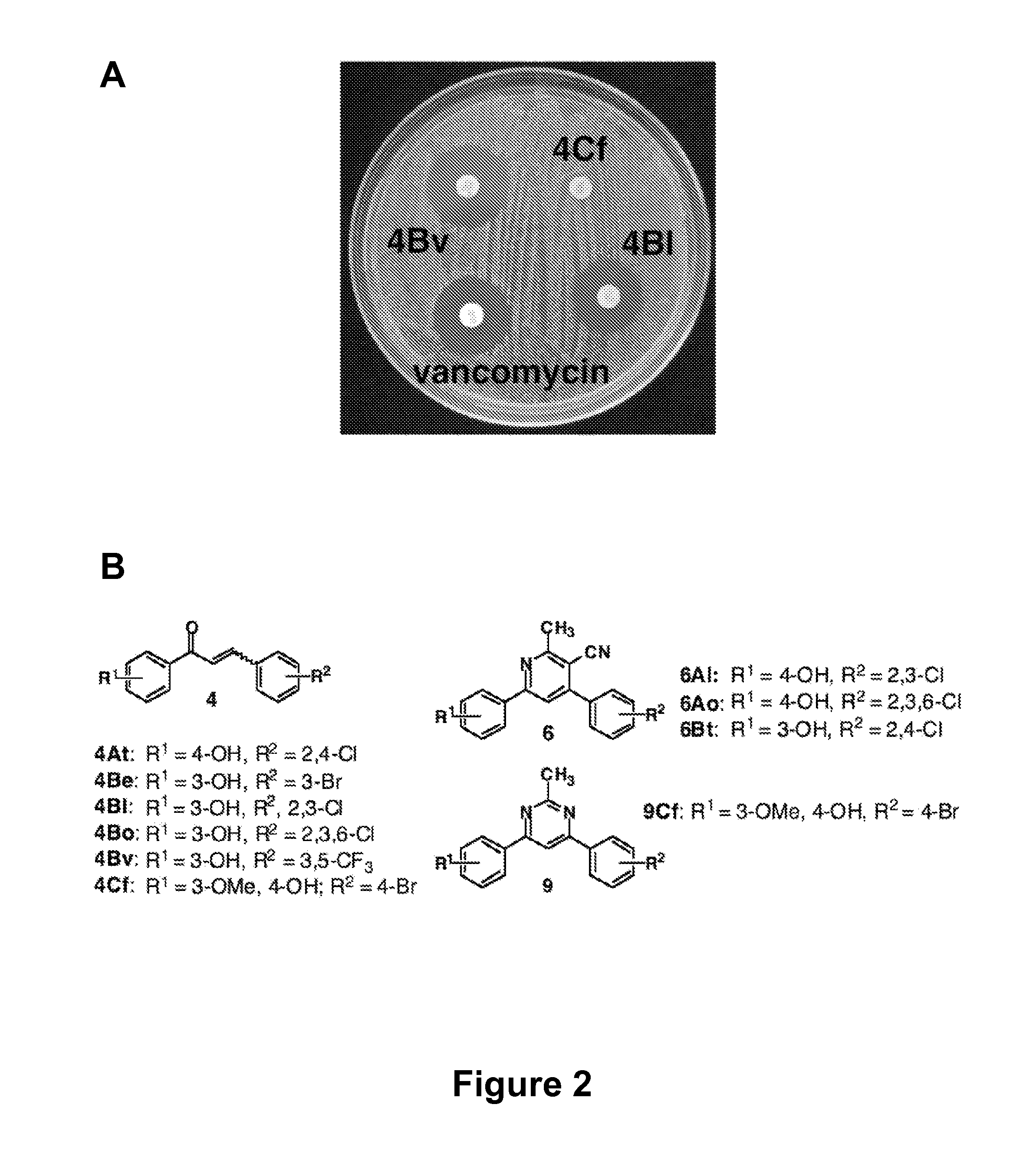 Cyanopyridine antibacterial agents