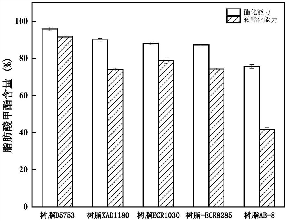 Immobilized lipase as well as preparation method and application thereof in biodiesel