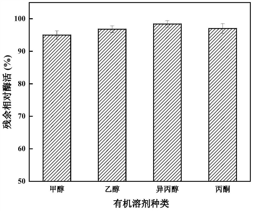 Immobilized lipase as well as preparation method and application thereof in biodiesel