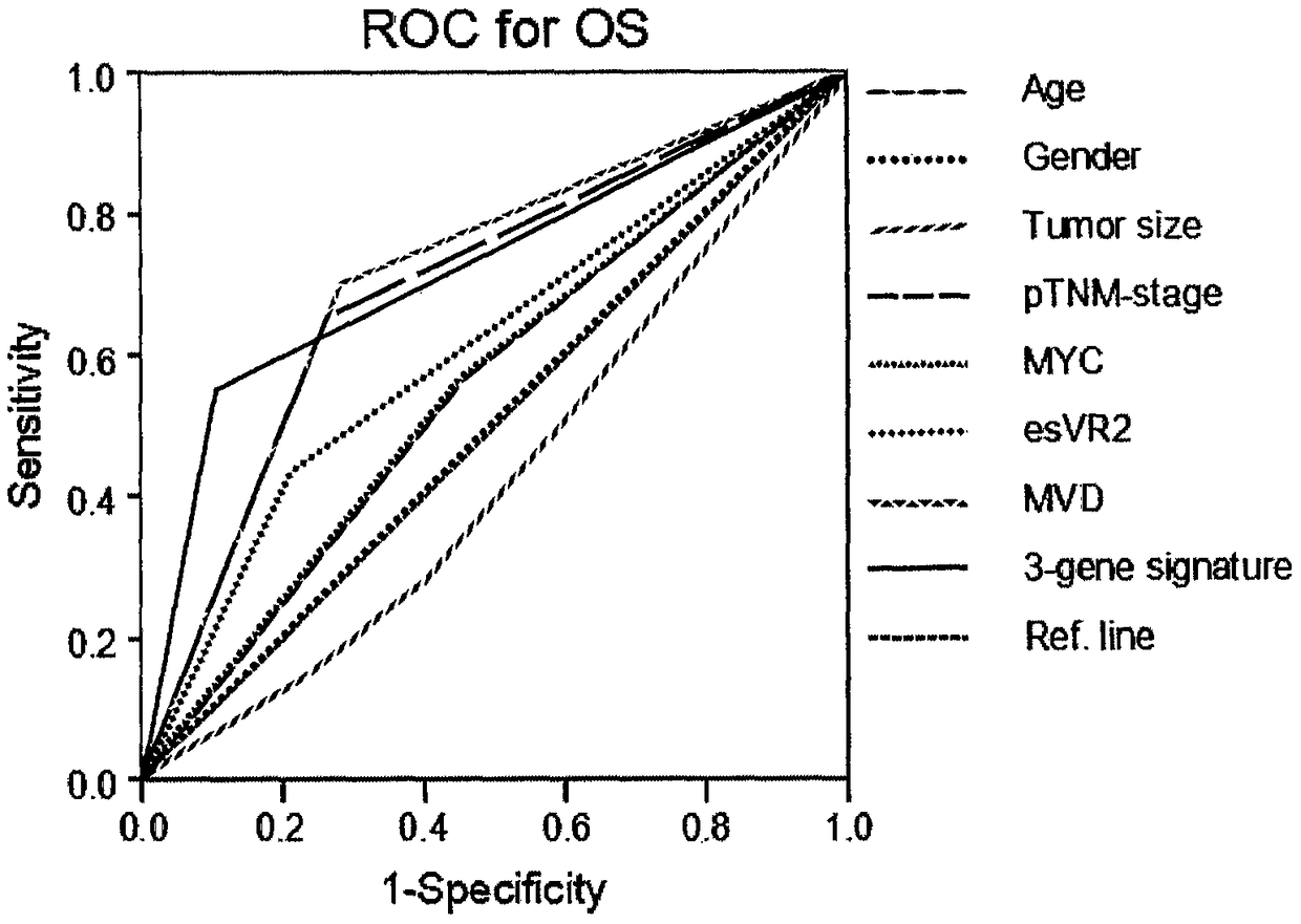 CD105, esvegr2 and myc triple protein joint prediction kit for the prognosis of patients with esophageal squamous cell carcinoma