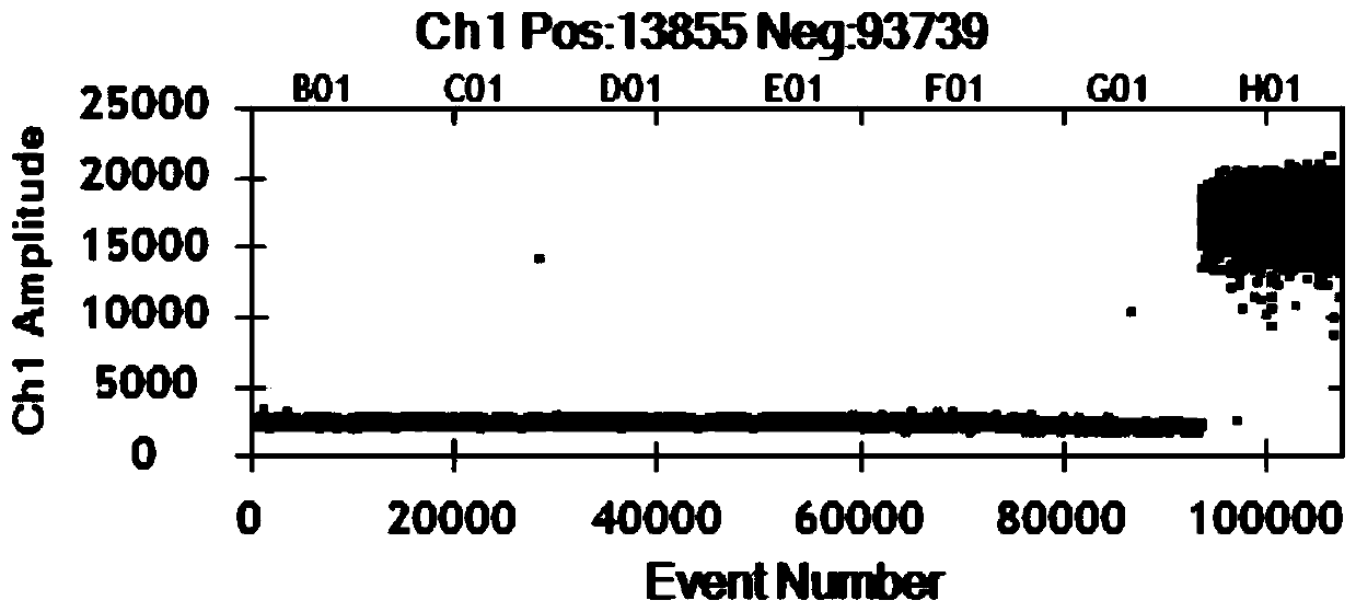 Digital PCR detection primer and reagent kit for detecting infectious spleen and kidney necrosis viruses