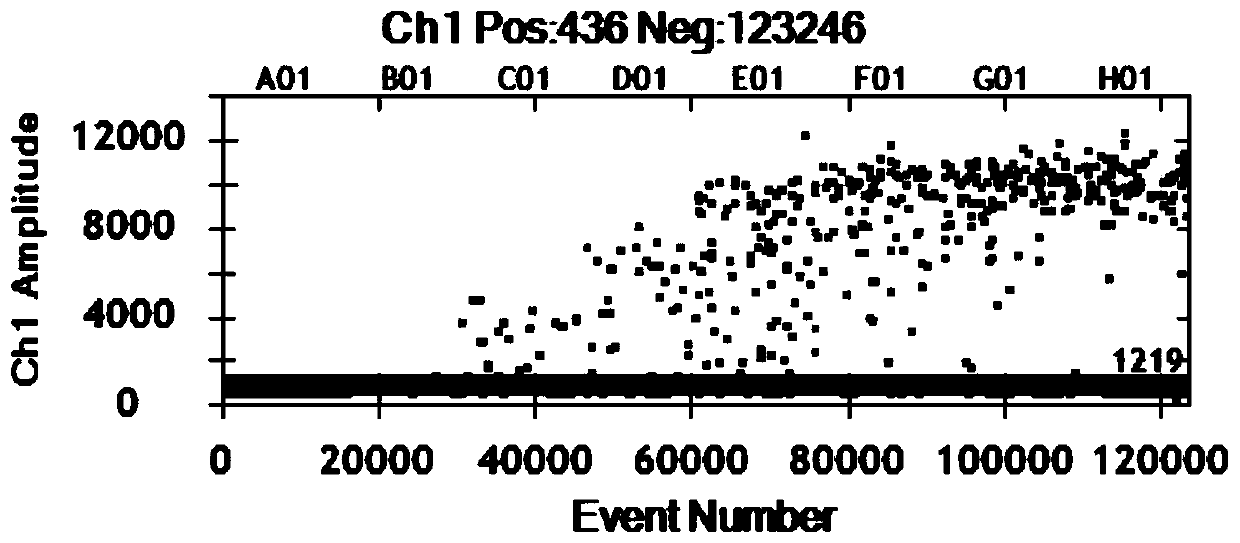 Digital PCR detection primer and reagent kit for detecting infectious spleen and kidney necrosis viruses