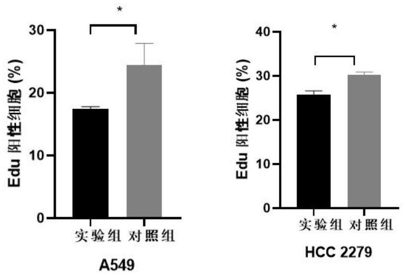 Use of a piwi protein-interacting RNA piR-hsa-211106