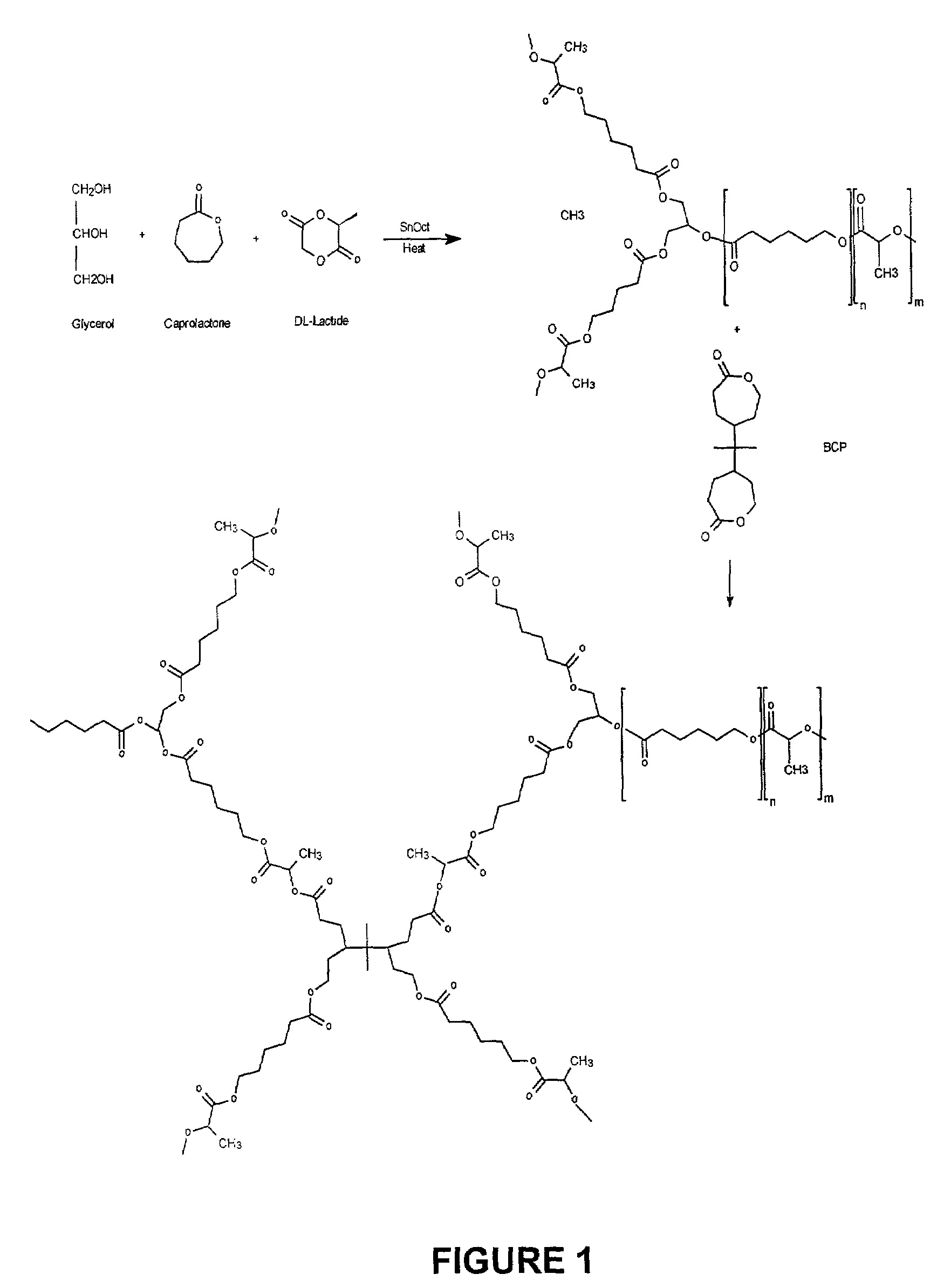 Biodegradable elastomer and method of preparing same