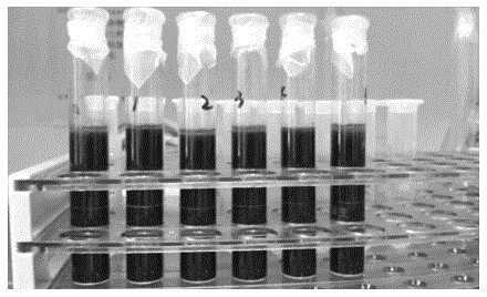 Method for rapidly manufacturing nano-palladium/iron with scattered dispersing agent and scattered surface active agent