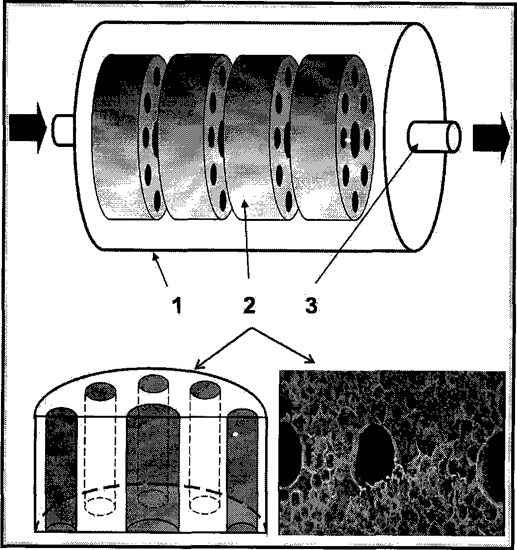 Implantation type artificial hepar