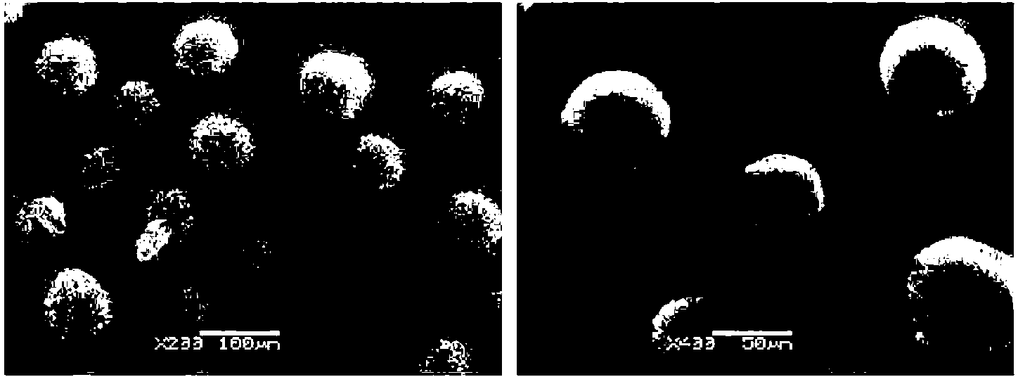 Preparation method of crosslinked polymethyl methacrylate resin microspheres with narrow particle size distribution