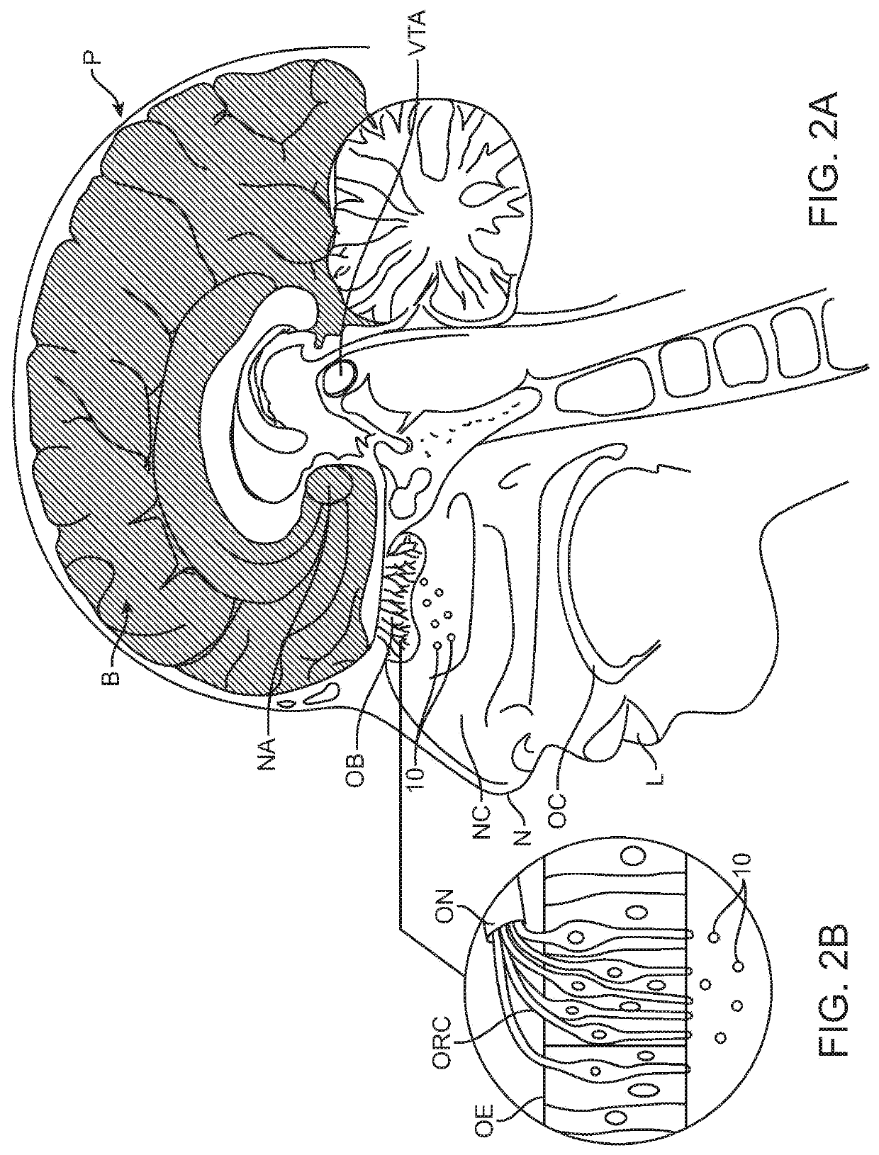 Devices, systems and methods for delivering coffee-derived volatiles