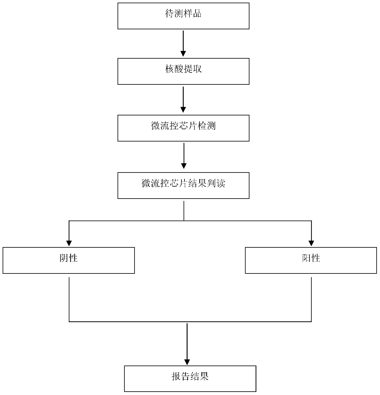 Primers, micro-fluidic chip and system for swine fever virus detection, and application of primers