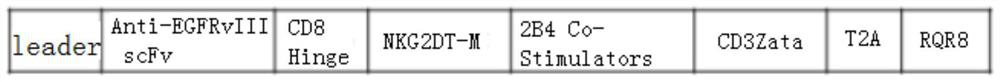 Anti-egfrvⅢ safe chimeric antigen receptor, its preparation method, nk cell modified by using it and application