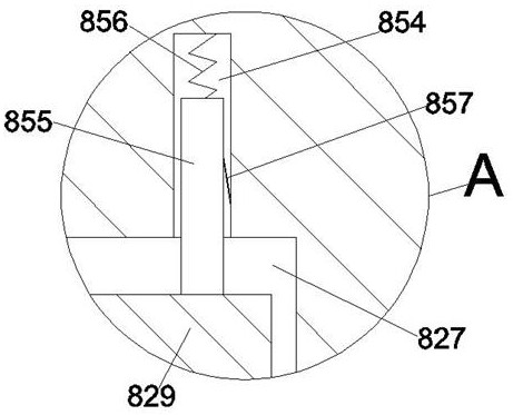 Internet-Based Hidden Projector