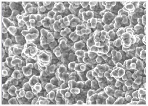 Surface treatment agent capable of improving corrosion resistance of electrolytic copper foil