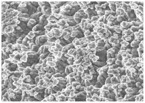 Surface treatment agent capable of improving corrosion resistance of electrolytic copper foil