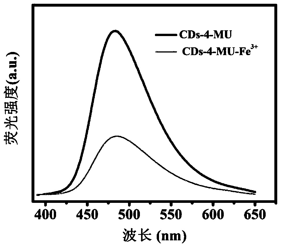 Novel nano-composite, preparation method thereof and application of novel nano-composite in sewage detection