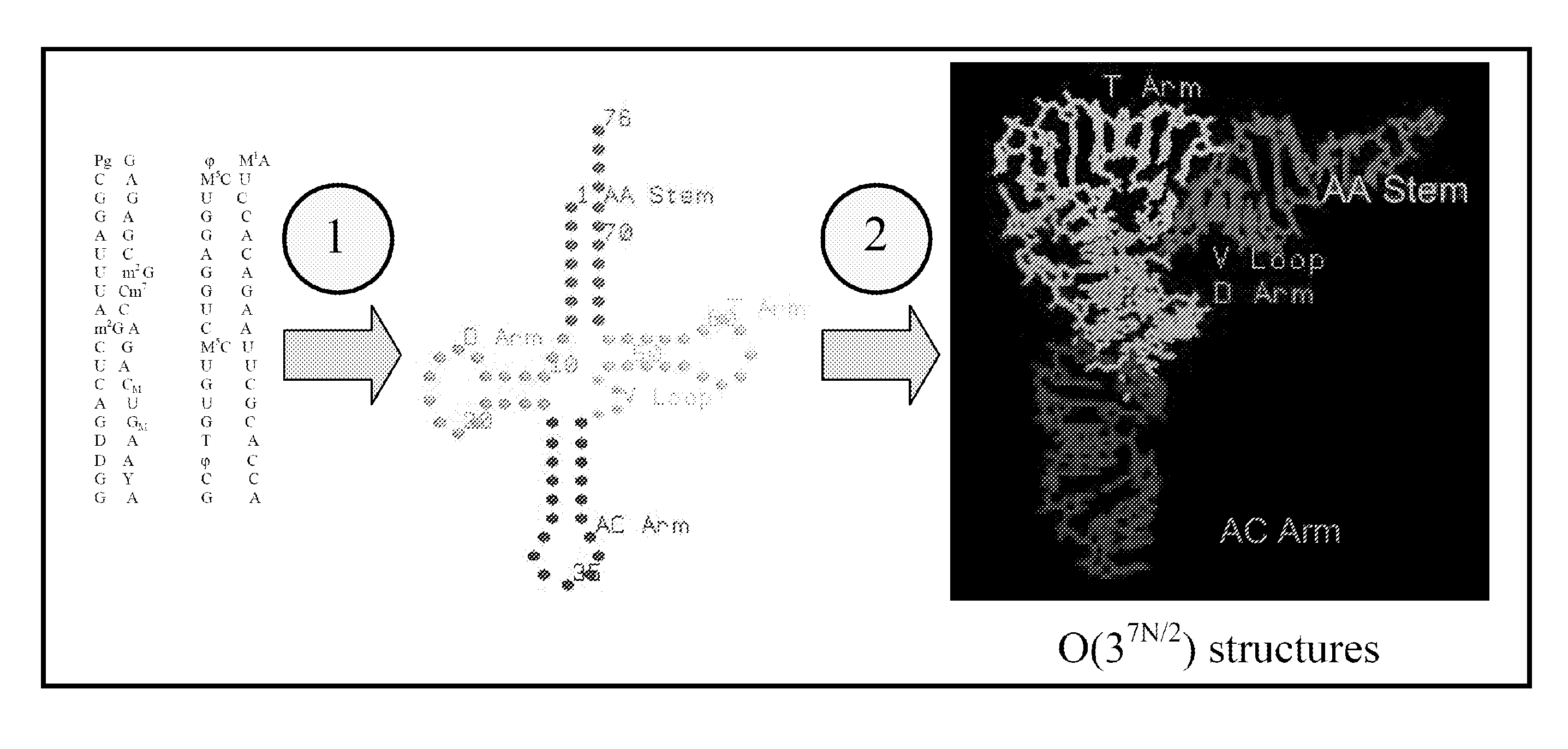 System and methods for three dimensional molecular structural analysis