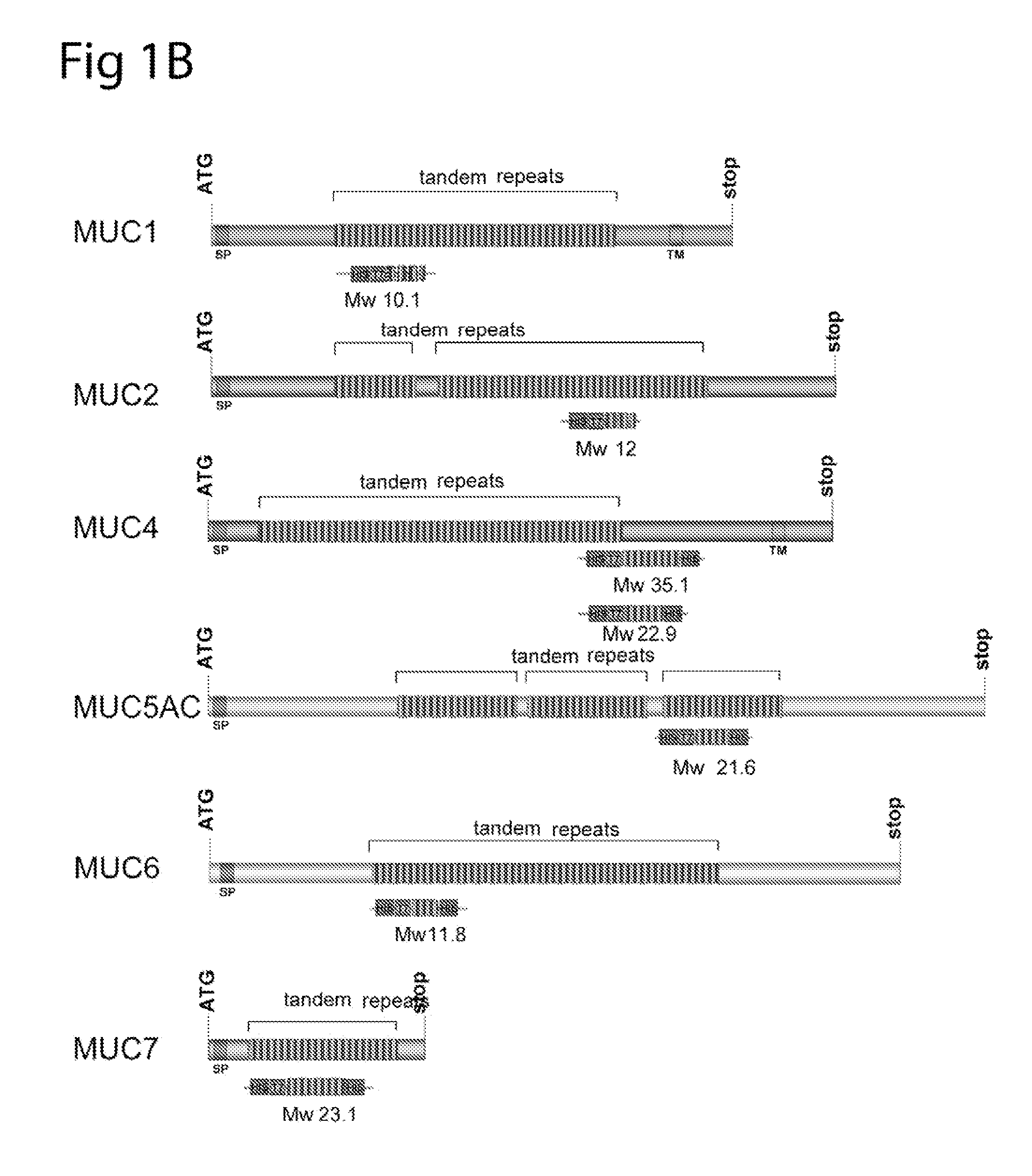 Method for early detection of cancer