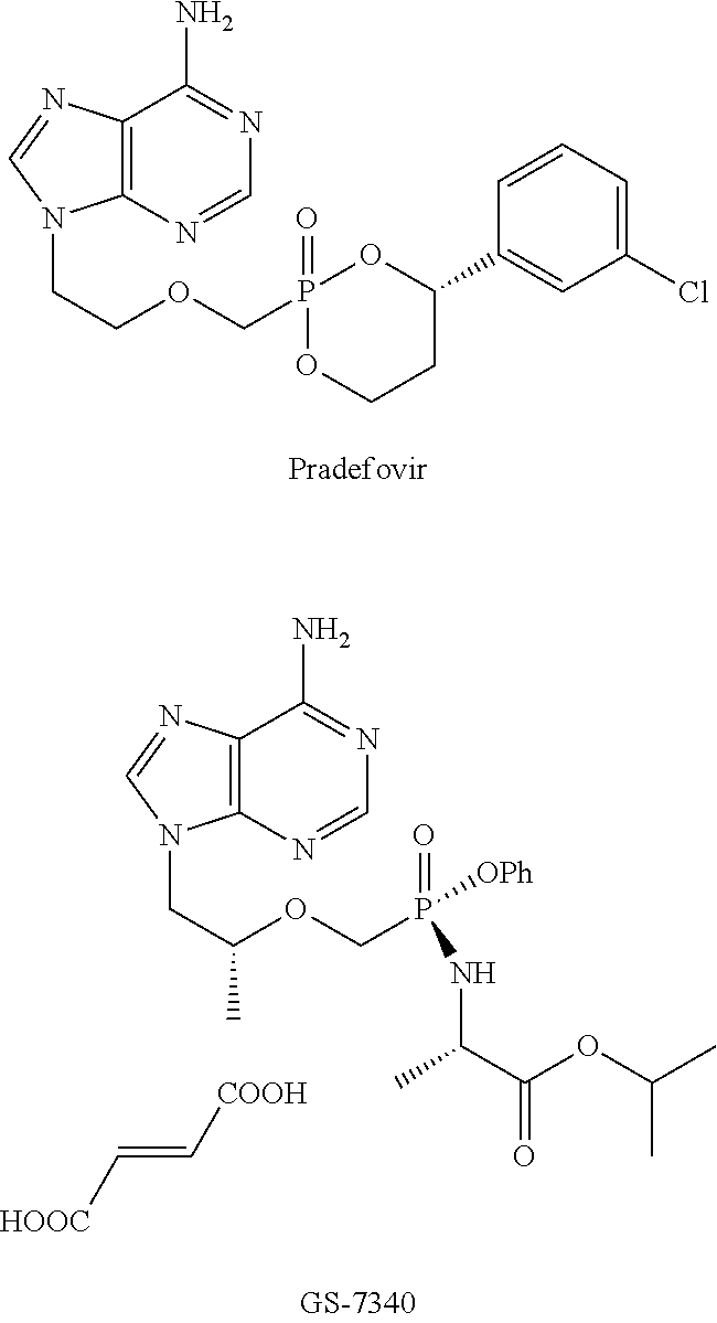 Nucleotide analogs