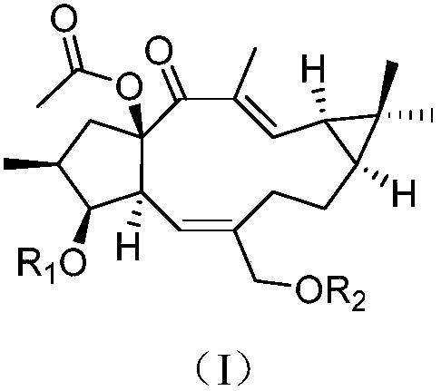 Lathyrane compound and extraction method and application thereof