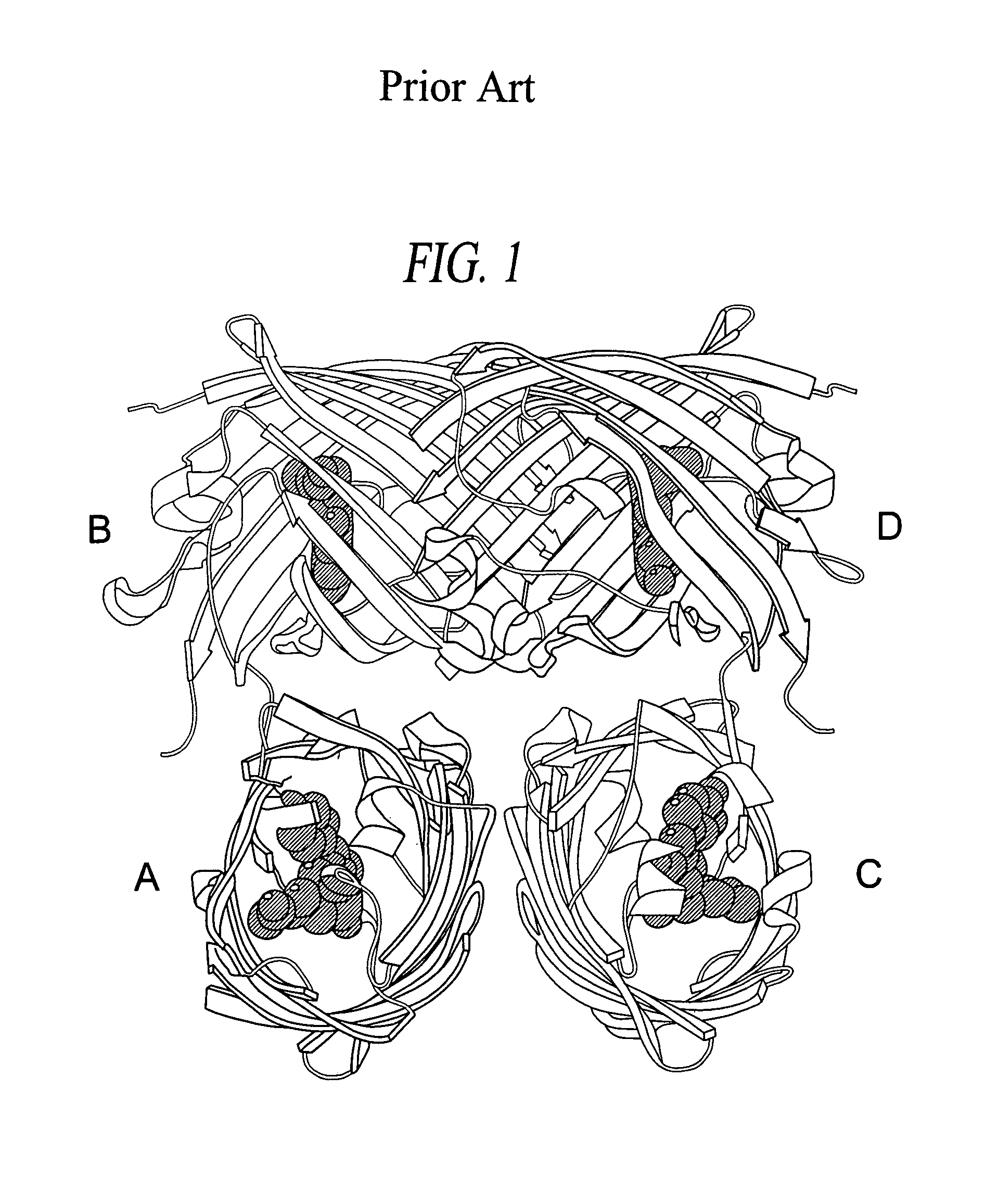 Monomeric and dimeric fluorescent protein variants and methods for making same