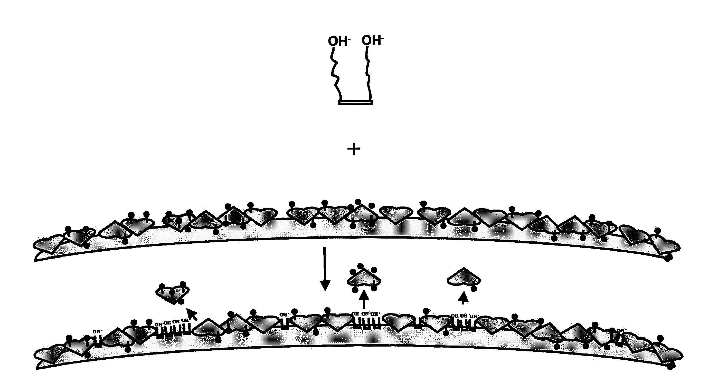 Binding surfaces for affinity assays